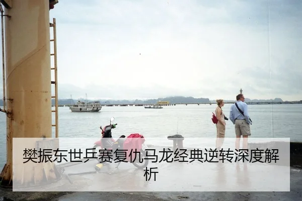 樊振东世乒赛复仇马龙经典逆转深度解析