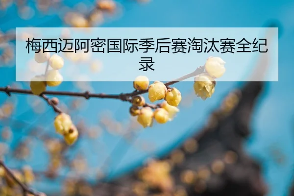 mei-xi-mai-a-mi-guo-ji-ji-hou-sai-tao-tai-sai-quan-ji-lu-2-613.jpg