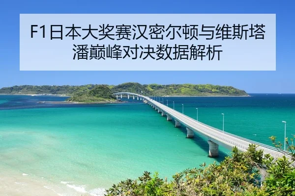 F1日本大奖赛汉密尔顿与维斯塔潘巅峰对决数据解析